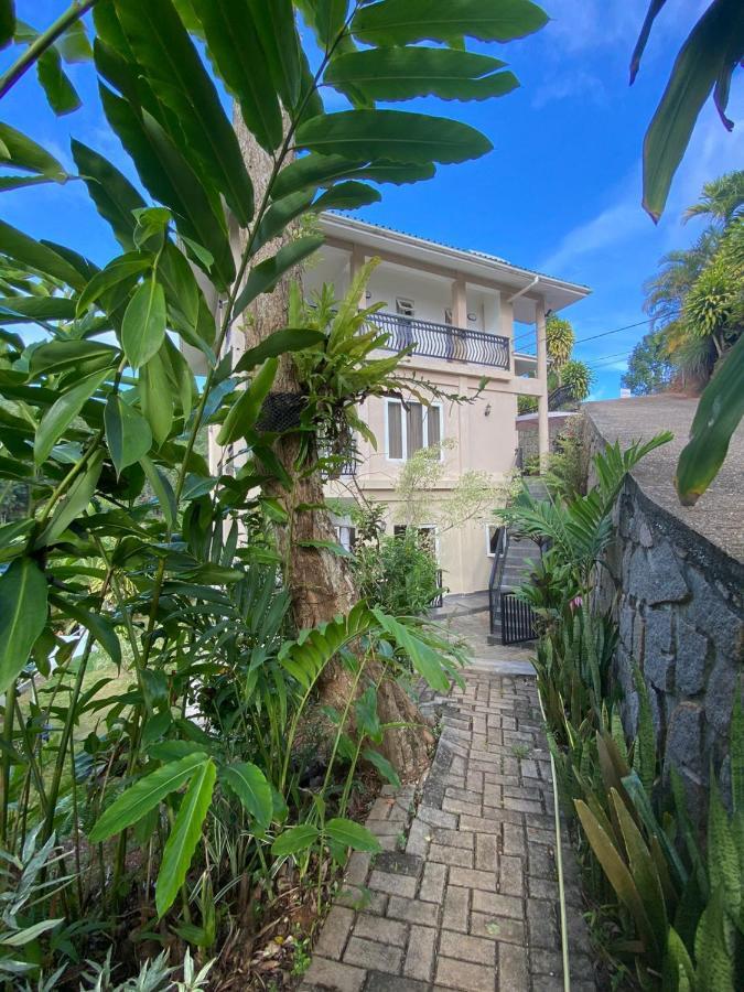 South Hill Villa Anse Royale Eksteriør bilde
